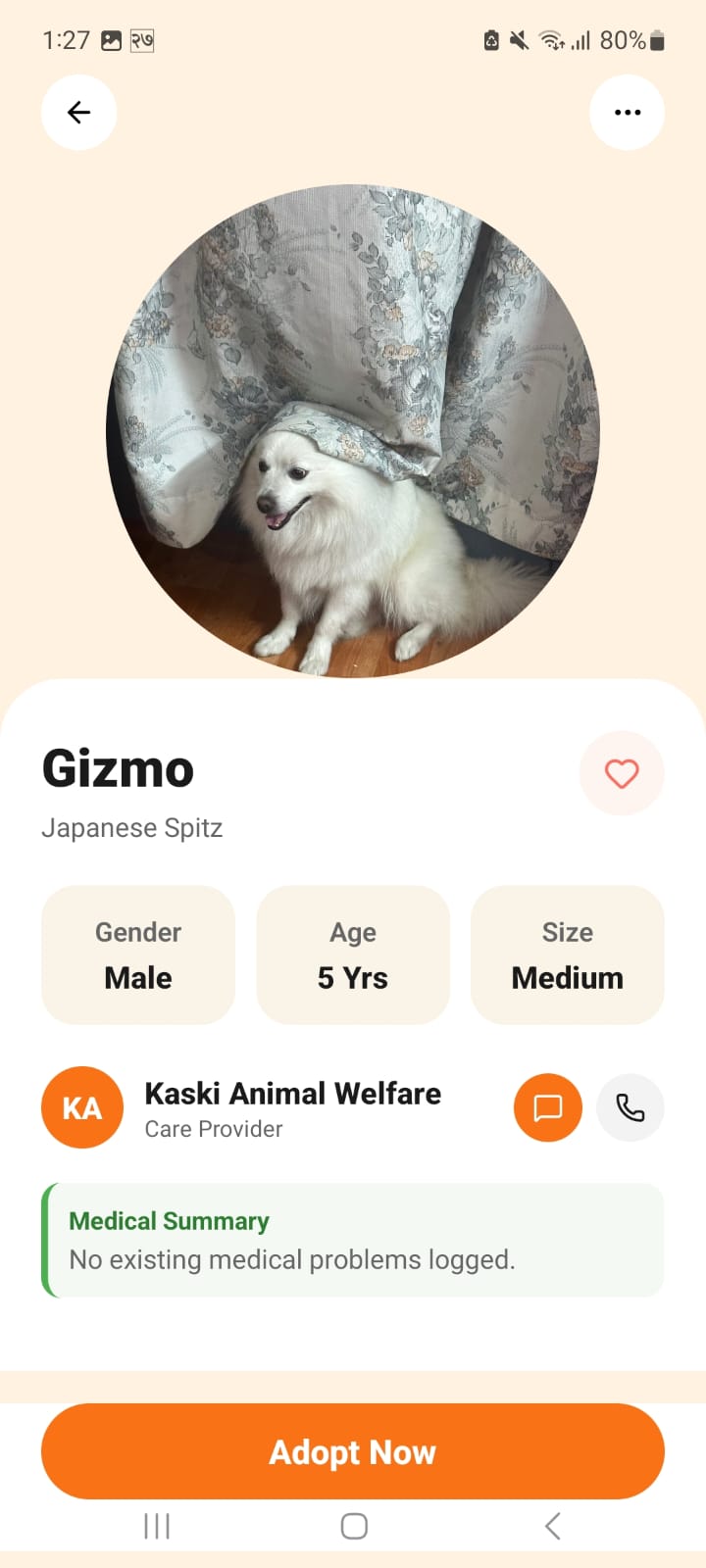 ResQNet Pet Adoption